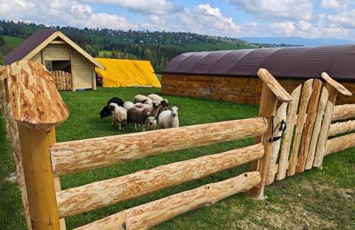 Chata Leszczynówka - Willa - Foto 24