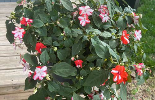 Wayne's Place-Hot tub, pet friendly. Close to HPU - Foto 29