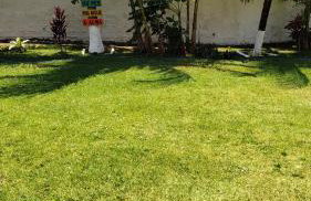 Casa de Praia Paraíso Paracuru Ceará - Photo 28