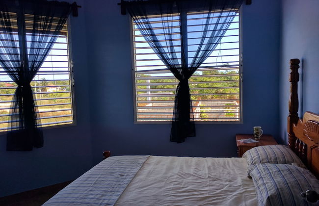 Savannah Sand Dollar - Foto 2