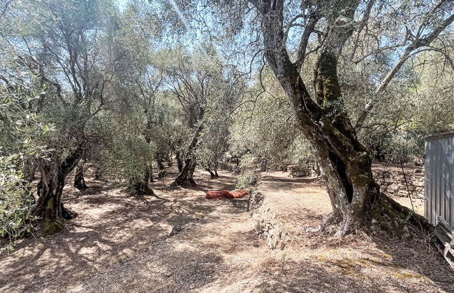 Casa Simona (DOL134) - Foto 19