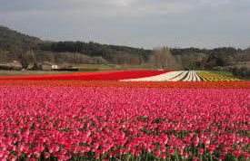 Le Vieux Moulin - Foto 30