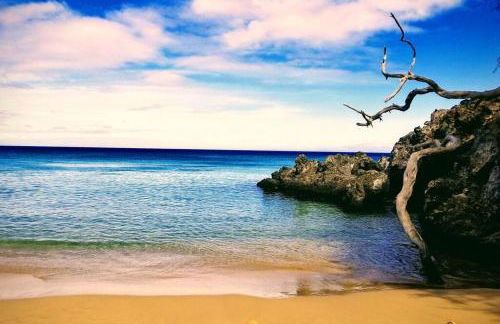 Ohana Beach Retreat at the Surf and Racquet Club - Foto 52