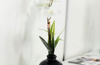 8 Beds Home with 4 Car Parking Space - Near DTLB - Foto 12