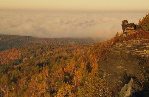 Waldhaus Bielatal - Foto 28