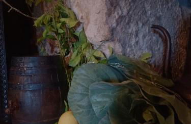 Casario do Vale Hospedagem e Eventos - Photo 52