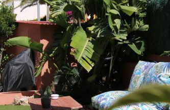 El Faro Albir - Photo 11