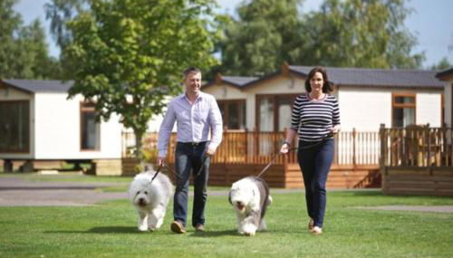 Country Gem - Foto 3