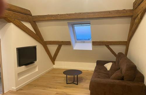 Le Relais du Piémont Ottrott - Mont Sainte-Odile- Champs du feu - Photo 19