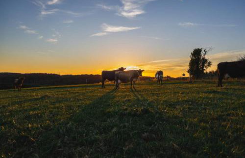 Broomhill Barns - Foto 55