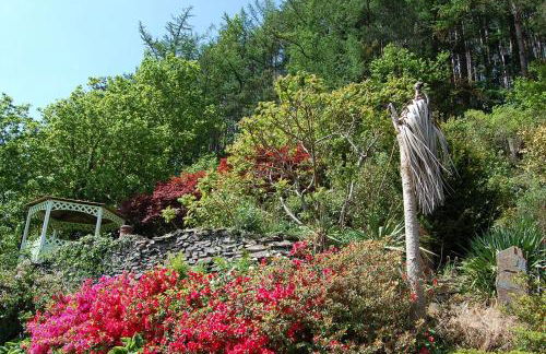 Tawel Fryn Bungalow near Dolgellau - Foto 10