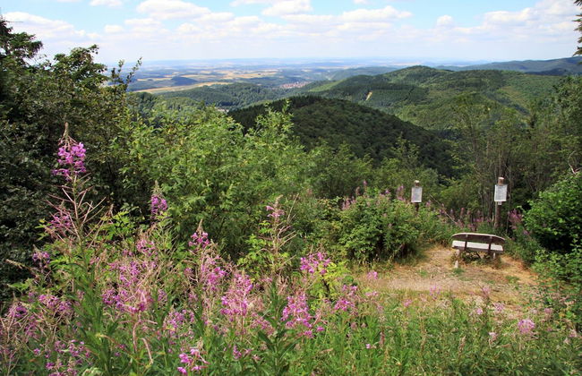 Ferienwohnung Stricker Bad Sachsa - Foto 36