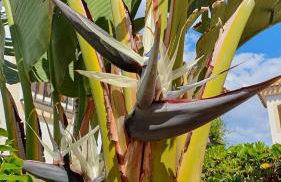 Very Very Vera Beach - Freshly Renovated - Foto 24