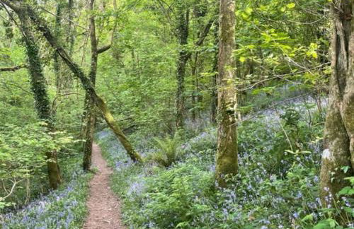 Frankie's Holiday Lodge - Foto 22