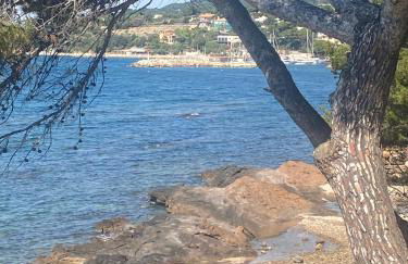 Charmant RDJ T3 en Bord de Mer terrasse Carqueiranne By HC - Foto 2