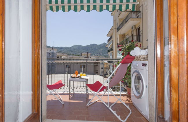 Sofia flora - Photo 80