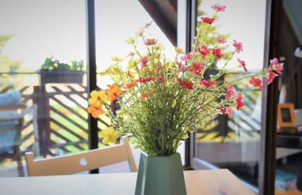 Fewo Grohlz - Foto 6