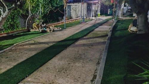 FINCA RIODIEL - Foto 3