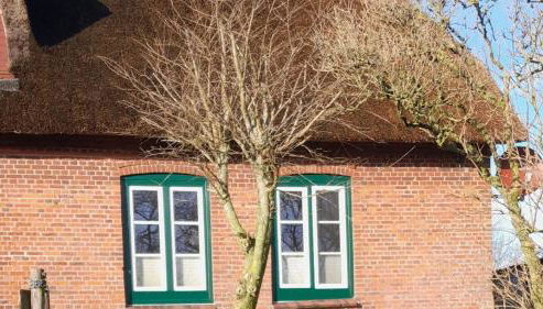 Fewo Op de Warft - Photo 2