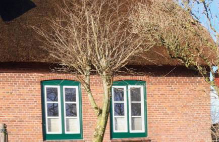 Fewo Op de Warft - Foto 2