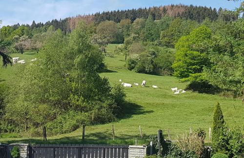 Fewo Am Wald - Foto 38