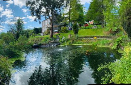 Ivybank Villa - Foto 19