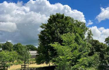 Ashdene Cottage with secure 'sun trap' garden - Foto 33