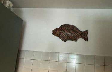 Villa Isola - Foto 14