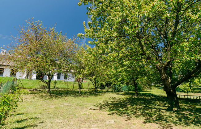 2 bedroom House in Fonyód with private pool and garden - Photo 23