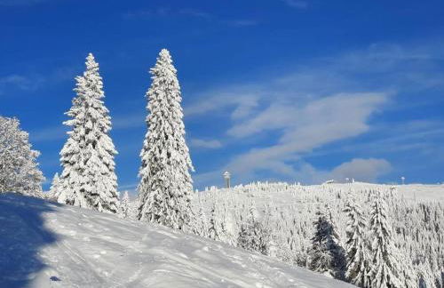 Ferienwohnung-Einklang im schönen Südschwarzwald - Foto 20
