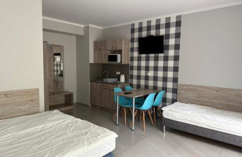 Apartamenty Wilczyca - Photo 55