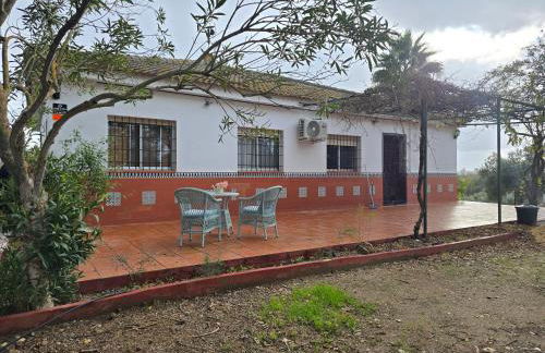 Finca El Palmar - Foto 12