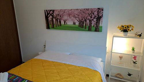 VALTELLINA SONDRIO HOLIDAYS - Photo 3