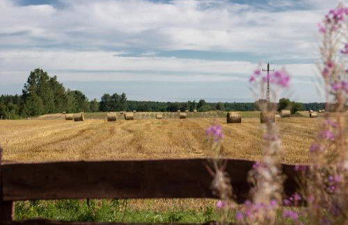 Leśna 21 Dom Północ przy PUSZCZA BIAŁOWIESKA - Foto 32