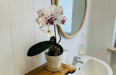 Palago 11 - Photo 11