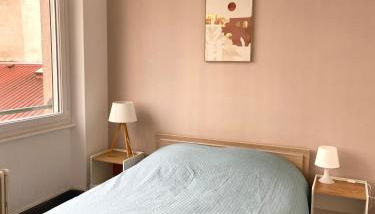 Appartement cosy à Épinal Gare à 5 min à pied - Foto 2