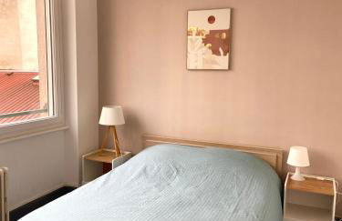 Appartement cosy à Épinal Gare à 5 min à pied - Foto 2