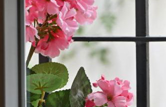 WonderStays Villa Lucía - Photo 76