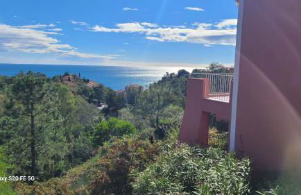 Seaview house, close Cannes, pool, garden. garage - Foto 30