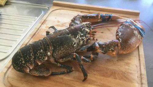 Soizic' house - Foto 5