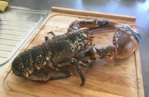 Soizic' house - Foto 10