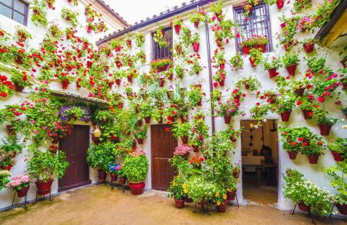 APARTAMENTO PUERTA DE CÓRDOBA- Exterior con balcones - Foto 40