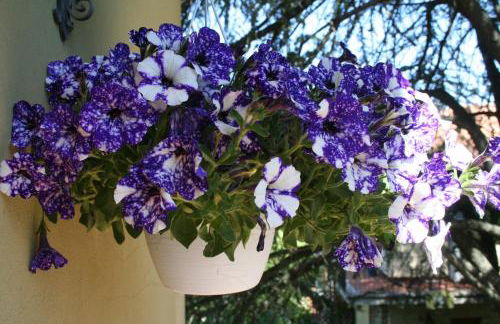 La casa di Rachele - Photo 9