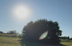 Little Vine Cottage in the grounds of Leeds Castle - Foto 30