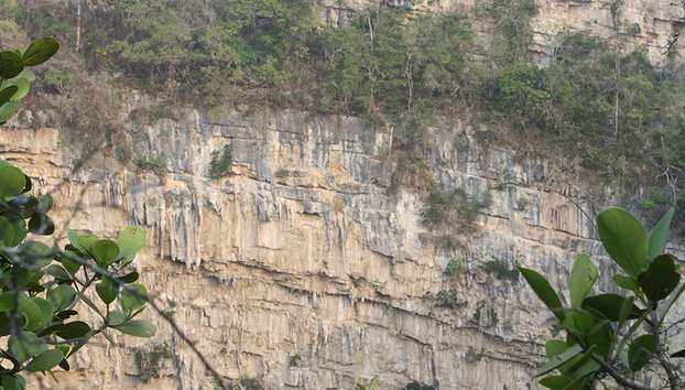 Sima de las cotorras - Foto 2