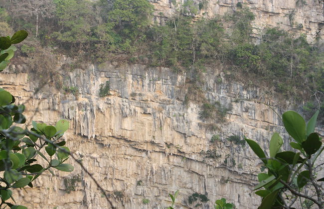 Sima de las Cotorras - Foto 2
