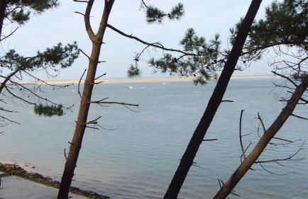 ARCACHON appartement T2 51M2 et parking privatif en sous sol - Foto 12