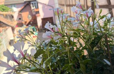 Gîte chez "Mamie Schlop" - Photo 49