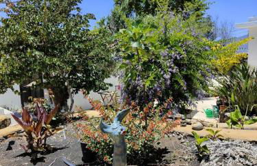 Sunset Serenity Las Manchas - Foto 21