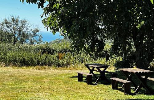 Wonkey Donkey Cottage - Photo 27